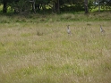 P1010540