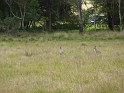 P1010541