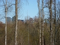 P1010584