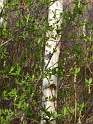 P1010586