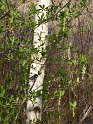 P1010587