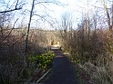 P1010590