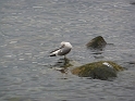 P1010614