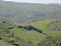 IMG_0460
