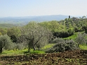 IMG_0469