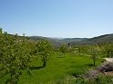 P1010861