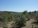 P1010864