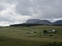 IMG_0490