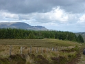 P1010886