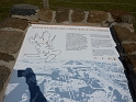 P1010944