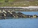 P1010986