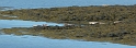 P1010992