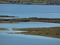 P1010993