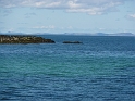 P1020003
