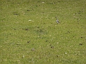 P1020024