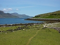 P1020026