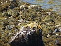 P1020027