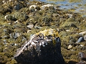 P1020028