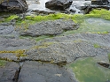 P1020074