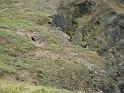P1020136