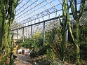 IMG_2647