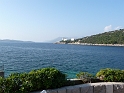 P1000007