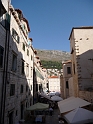 P1000037