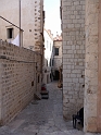 P1000038