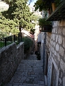 P1000059