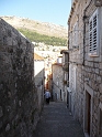 P1000061