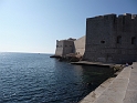 P1000103