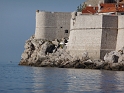 P1000141
