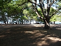 P1000151
