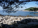 P1000153