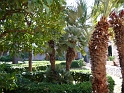 P1000156