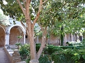 P1000157