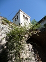 P1000159