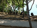 P1000164