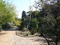 P1000166