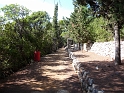 P1000167