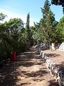 P1000168