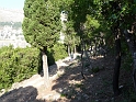 P1000177