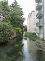 IMG_0648