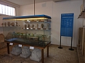 P1020365