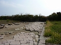 P1020375
