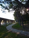 P1020433