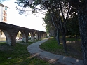 P1020434