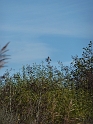P1020488