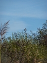 P1020489