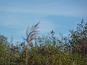 P1020490